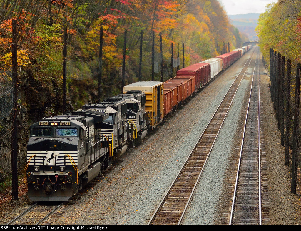 9423 Freight